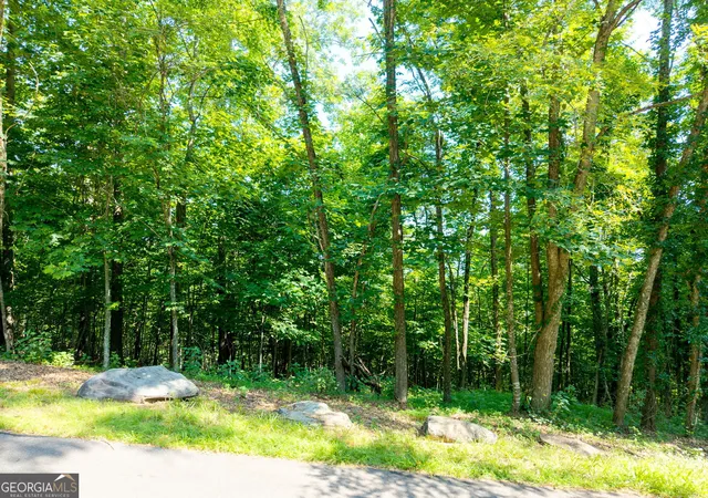 Photo 1 of Land for sale at 46 Buck Ridge, Murphy, NC 28906 | MLS# 10801722 | Listing updated on 2026-09-11