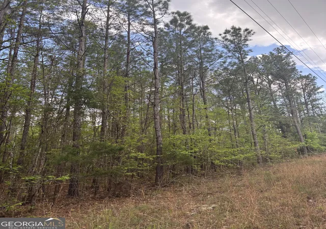Photo 4 of Sale Pending at 0 Valley Rescue Mission Rd #203, Hamilton, GA 31811 | MLS# 10806557 | Listing updated on 2026-09-08