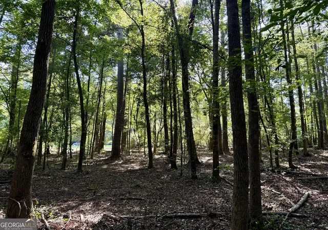 Photo 18 of Land for sale at 2552 Hwy 92 South, Fayetteville, GA 30215 | MLS# 10824667 | Listing updated on 2026-08-26