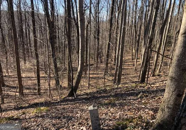 Photo 2 of Land for sale at 0 Highlands Pkwy #45, Jasper, GA 30143 | MLS# 10777224 | Listing updated on 2026-06-17