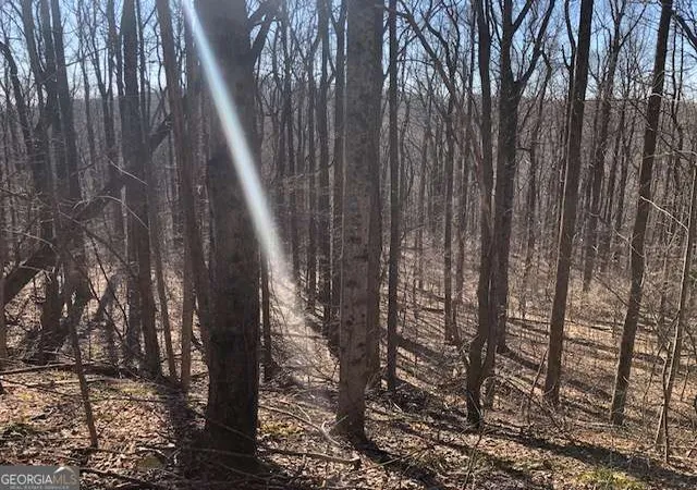 Photo 3 of Land for sale at 0 Highlands Pkwy #45, Jasper, GA 30143 | MLS# 10777224 | Listing updated on 2026-06-17