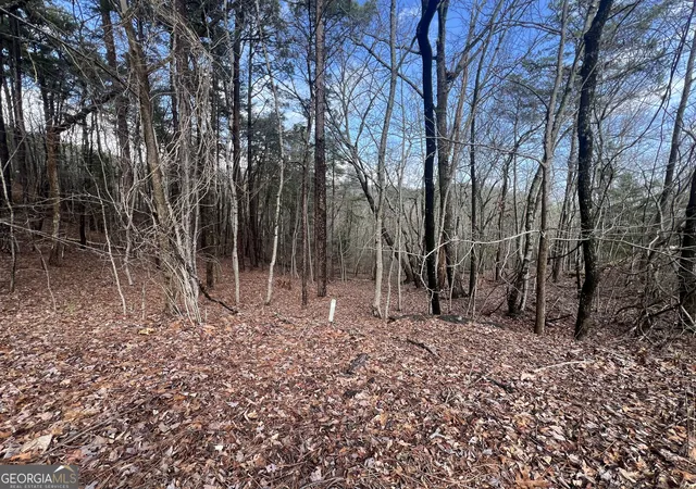 1st image of 0 Spring Ridge Trl, Rome, GA 30165 | MLS# 10715052