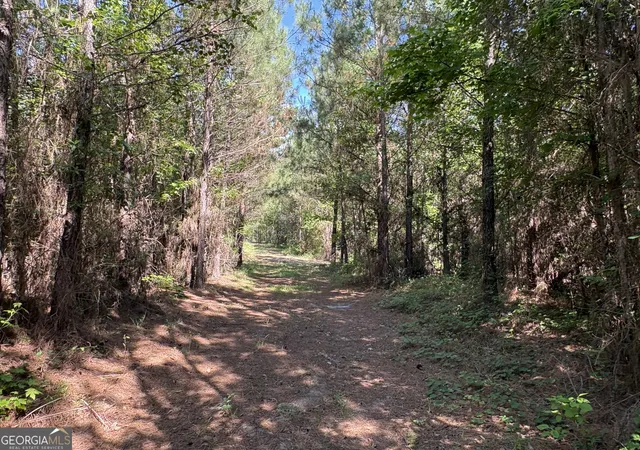 3rd image of L9 N Indian Trail Rd, Sandersville, GA 31082 | MLS# 10784545