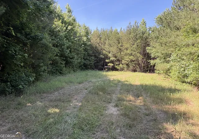 4th image of L9 N Indian Trail Rd, Sandersville, GA 31082 | MLS# 10784545