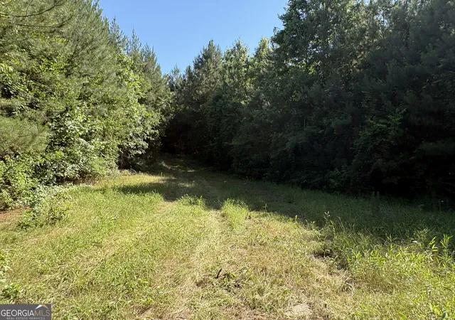 5th image of L9 N Indian Trail Rd, Sandersville, GA 31082 | MLS# 10784545