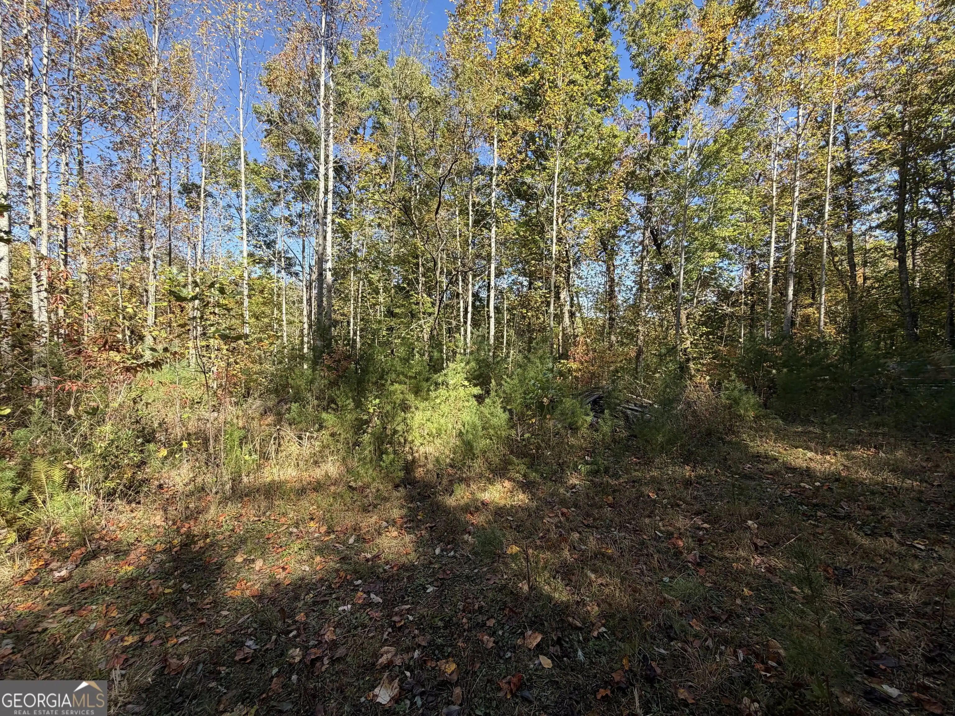 Photo 1 of Land for sale at 0 Benny Mtn Rd #A, Clayton, GA 30525 | MLS# 10875824 | Listing updated on 2026-10-22