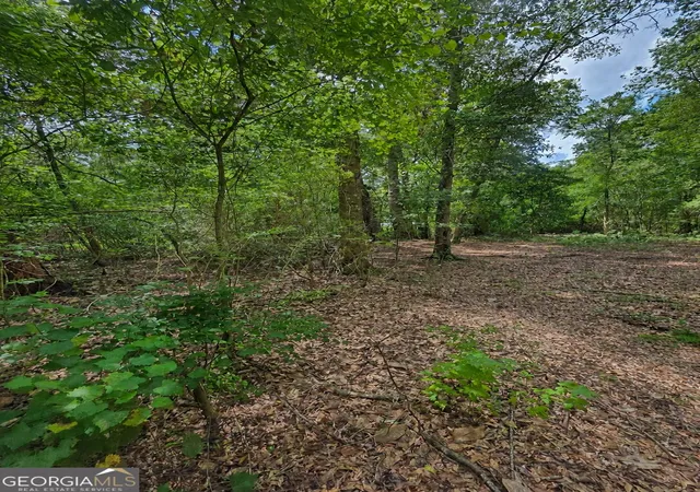 Photo 1 of Land for sale at 00 Second Ave, Waynesville, GA 31566 | MLS# 10825736 | Listing updated on 2026-08-27