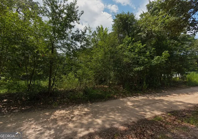 Photo 2 of Land for sale at 00 Second Ave, Waynesville, GA 31566 | MLS# 10825736 | Listing updated on 2026-08-27