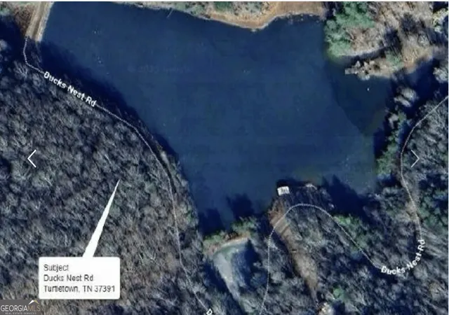 Homes for sale in Turtletown, TN | 0 Ducks Nest Rd, Turtletown, TN 37391 | MLS# 10736913