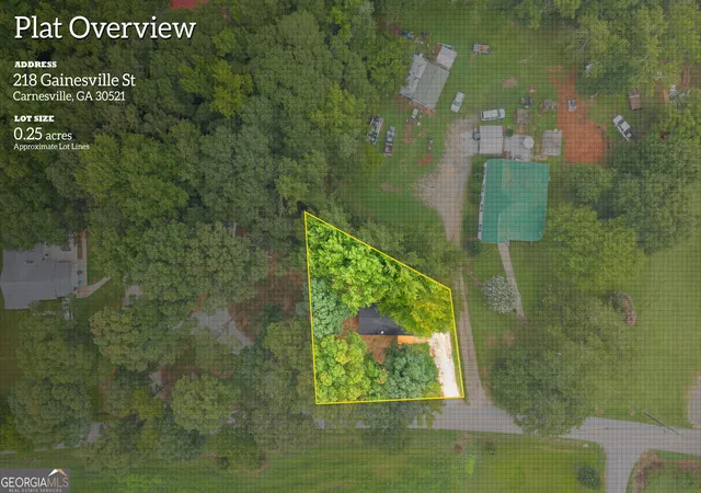 44th image of 218 Gainesville St, Carnesville, GA 30521 | MLS# 10823580