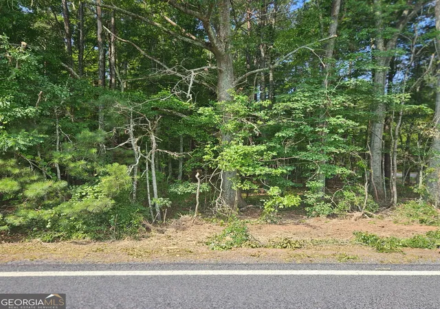 Photo 3 of Land for sale at 0 Academy Ln, Rutledge, GA 30663 | MLS# 10799733 | Listing updated on 2026-10-08