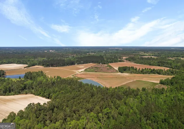 3rd image of 0 Middleground Rd #TRACT 3, Statesboro, GA 30461 | MLS# 10833189
