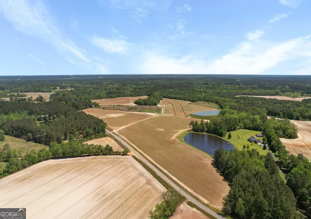 4th image of 0 Middleground Rd #TRACT 3, Statesboro, GA 30461 | MLS# 10833189