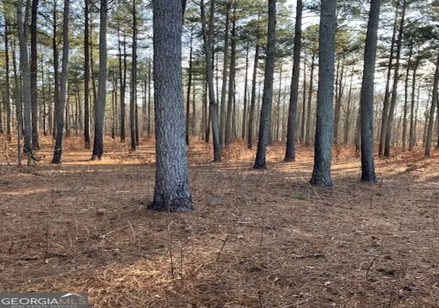 1st image of 280 Woodville Philomath Rd, Rayle, GA 30660 | MLS# 10825232