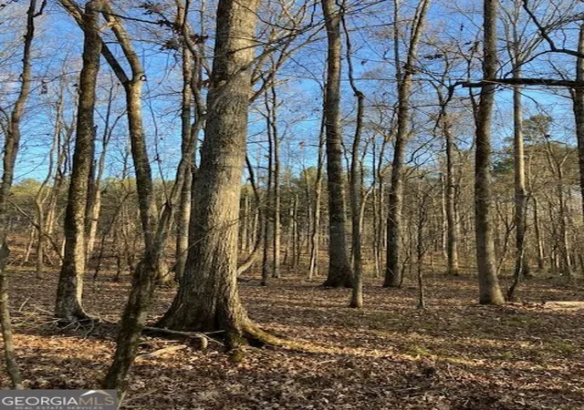 5th image of 280 Woodville Philomath Rd, Rayle, GA 30660 | MLS# 10825232