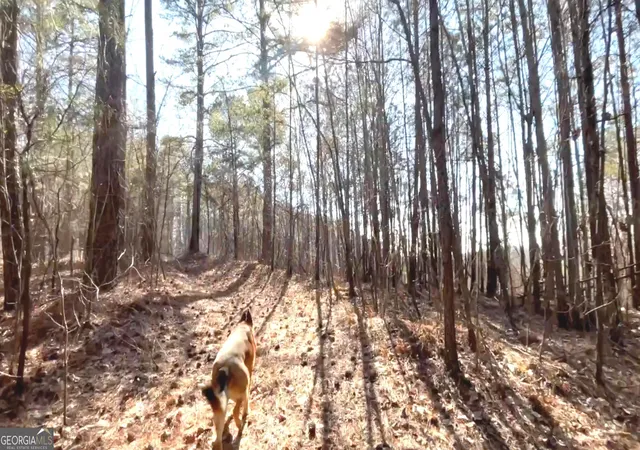 Photo 2 of Land for sale at 3 W Dry Pond Rd #3, Ranger, GA 30734 | MLS# 10707615 | Listing updated on 2026-05-26