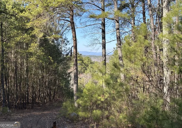 Photo 3 of Land for sale at 3 W Dry Pond Rd #3, Ranger, GA 30734 | MLS# 10707615 | Listing updated on 2026-05-26