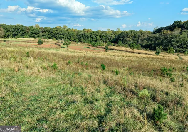 Land for sale at 837 Moon Brg Rd, Winder, GA 30680 | MLS# 10879312