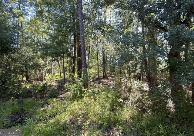 2nd image of 0 Mallard Pond Rd, Midway, GA 31320 | MLS# 10808812