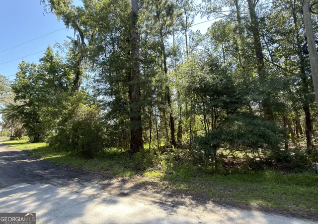 Photo 3 of Land for sale at 0 Mallard Pond Rd, Midway, GA 31320 | MLS# 10808812 | Listing updated on 2026-08-03