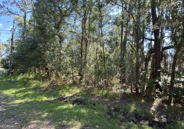 Photo 3 of Land for sale at 0 Mallard Pond Rd, Midway, GA 31320 | MLS# 10808812 | Listing updated on 2026-08-03