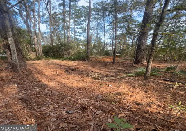 Photo 4 of Land for sale at 0 Mallard Pond Rd, Midway, GA 31320 | MLS# 10808812 | Listing updated on 2026-08-03