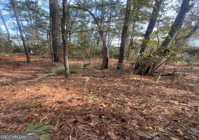 6th image of 0 Mallard Pond Rd, Midway, GA 31320 | MLS# 10808812