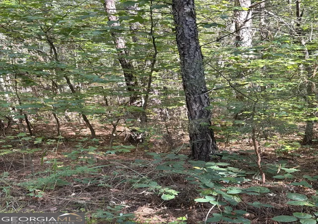 Photo 2 of Land for sale at 230 Dodgen Rd, Hampton, GA 30228 | MLS# 10741851 | Listing updated on 2026-07-03