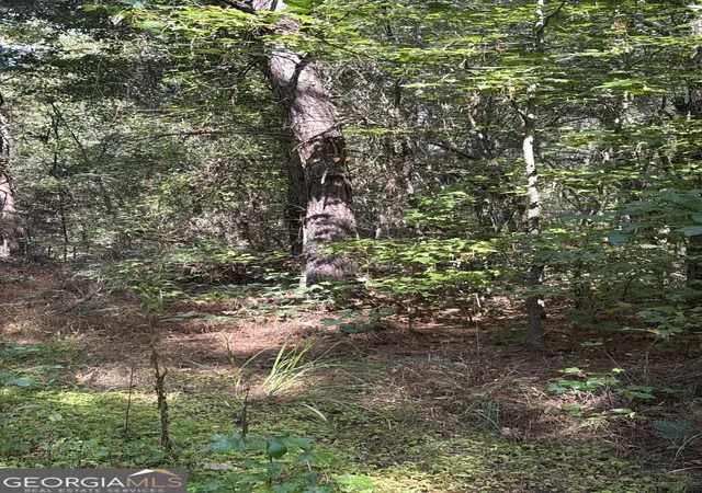 Photo 3 of Land for sale at 230 Dodgen Rd, Hampton, GA 30228 | MLS# 10741851 | Listing updated on 2026-07-03