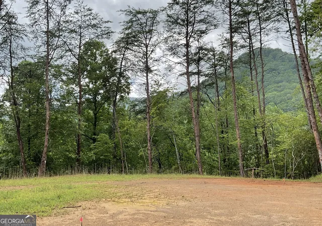 Photo 1 of Land for sale at 675 Big Creek Road, Otto, NC 28763 | MLS# 10822592 | Listing updated on 2026-09-01