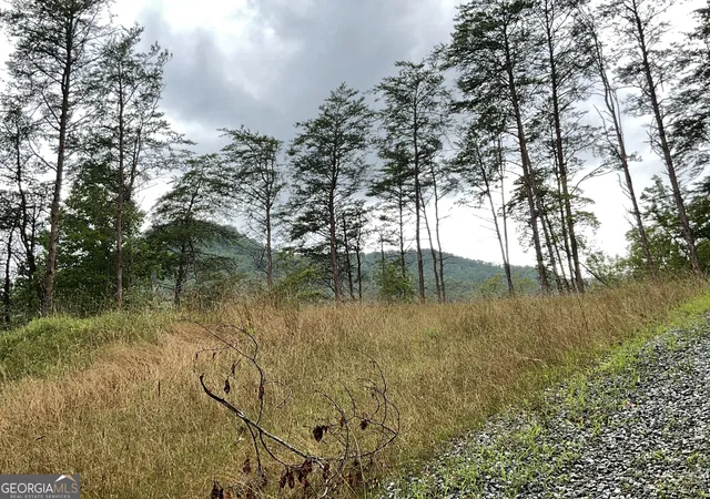 Photo 3 of Sale Pending at 675 Big Creek Road, Otto, NC 28763 | MLS# 10822592 | Listing updated on 2026-10-02