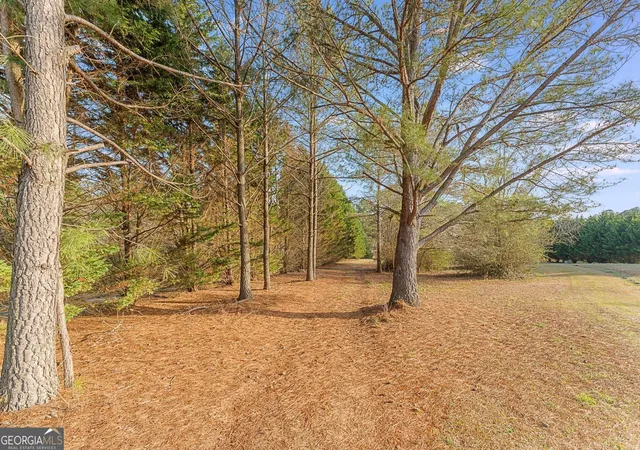 5th image of 784 Powderbag Creek Rd, Hartwell, GA 30643 | MLS# 10819721