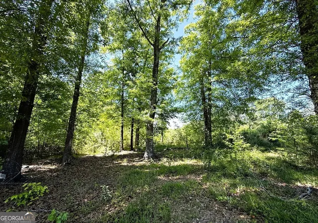 1st image of 752 Old Mineral Springs Rd, Elberton, GA 30635 | MLS# 10734365