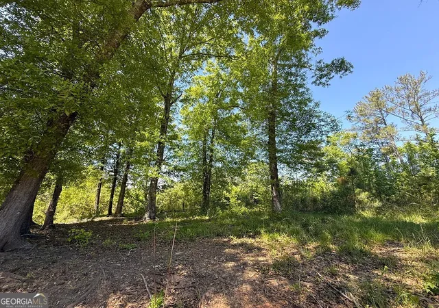 2nd image of 752 Old Mineral Springs Rd, Elberton, GA 30635 | MLS# 10734365