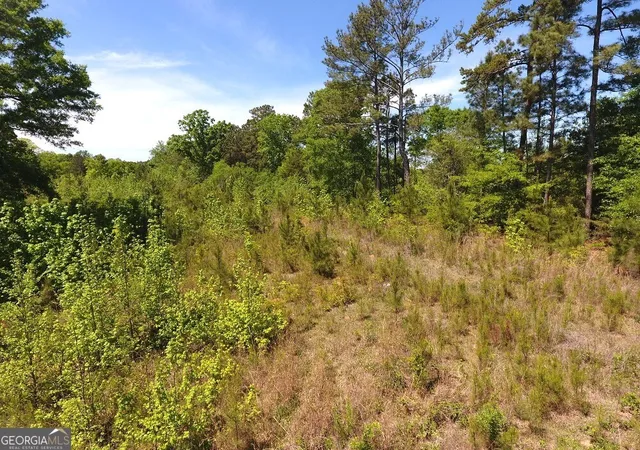 image of 752 Old Mineral Springs Rd, Elberton, GA 30635 | MLS# 10734365