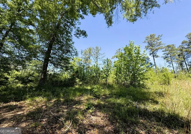 image of 752 Old Mineral Springs Rd, Elberton, GA 30635 | MLS# 10734365