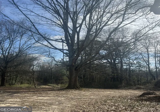 1st image of 98 Pine Shadows Dr, Dallas, GA 30157 | MLS# 10700807