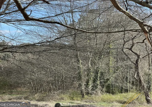 2nd image of 98 Pine Shadows Dr, Dallas, GA 30157 | MLS# 10700807