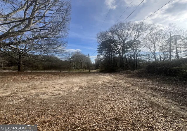 4th image of 98 Pine Shadows Dr, Dallas, GA 30157 | MLS# 10700807