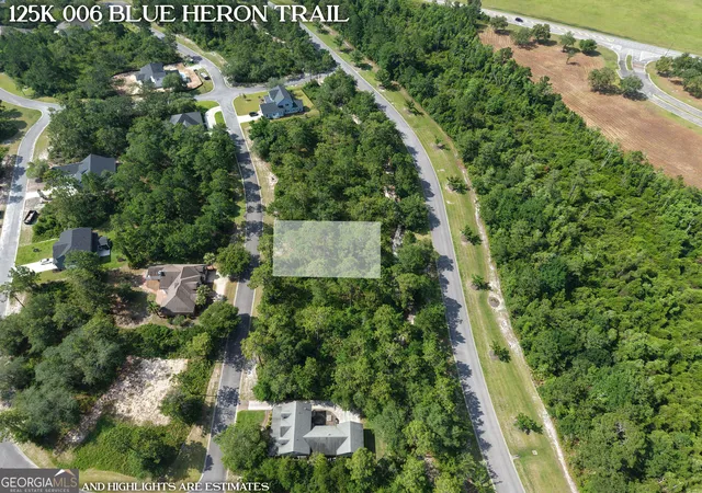 Homes for sale in Waverly, GA | Lot 6 Blue Heron Trl, Waverly, GA 31565 | MLS# 10787770