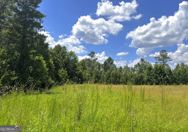 Photo 1 of Land for sale at 0 Ernest Carter Rd, Hazlehurst, GA 31539 | MLS# 10810113 | Listing updated on 2026-08-04