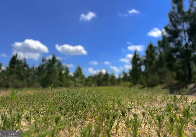 Photo 2 of Land for sale at 0 Ernest Carter Rd, Hazlehurst, GA 31539 | MLS# 10810113 | Listing updated on 2026-08-04