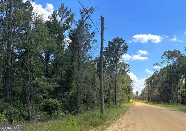 Photo 3 of Land for sale at 0 Ernest Carter Rd, Hazlehurst, GA 31539 | MLS# 10810113 | Listing updated on 2026-08-04