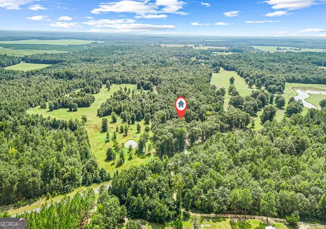 Photo 3 of Single family home for sale at 1010 Frank Cook Rd, Cochran, GA 31014 | MLS# 10833251 | Listing updated on 2026-08-26