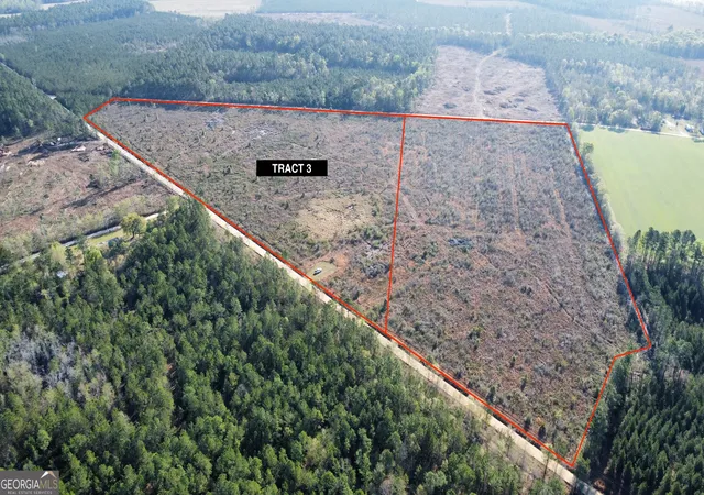 Homes for sale in Glennville, GA | 0 Graham Knight Road (tract 3) #TRACT 3, Glennville, GA 30427 | MLS# 10767717