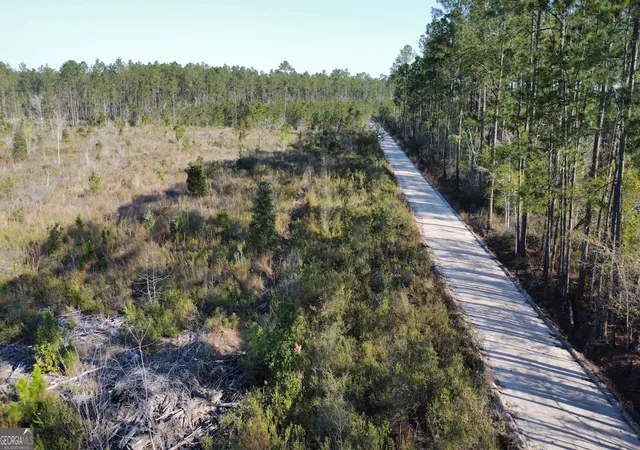 Homes for sale in Glennville, GA | 0 Graham Knight Road (Tract 3) #TRACT 3, Glennville, GA 30427 | MLS# 10767717