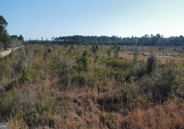 Homes for sale in Glennville, GA | 0 Graham Knight Road (tract 3) #TRACT 3, Glennville, GA 30427 | MLS# 10767717