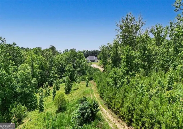 59th image of 2700 Old Cartersville Rd, Dallas, GA 30132 | MLS# 10817584