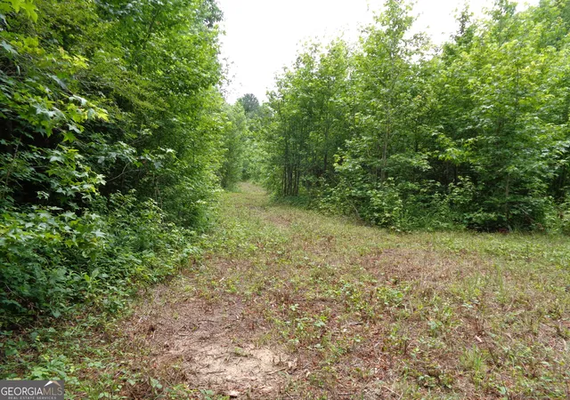 Photo 3 of Land for sale at 2411 Kesler Rd, Carnesville, GA 30521 | MLS# 10783678 | Listing updated on 2026-09-03