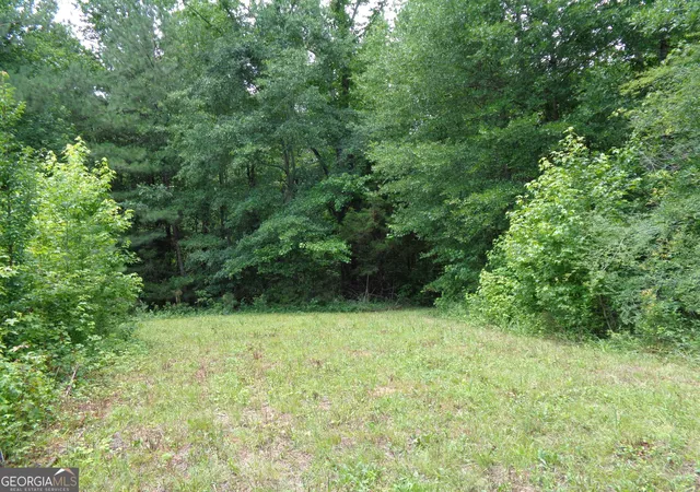 Photo 3 of House for sale at 2411 Kesler Rd, Carnesville, GA 30521 | MLS# 10783678 | Listing updated on 2026-09-03
